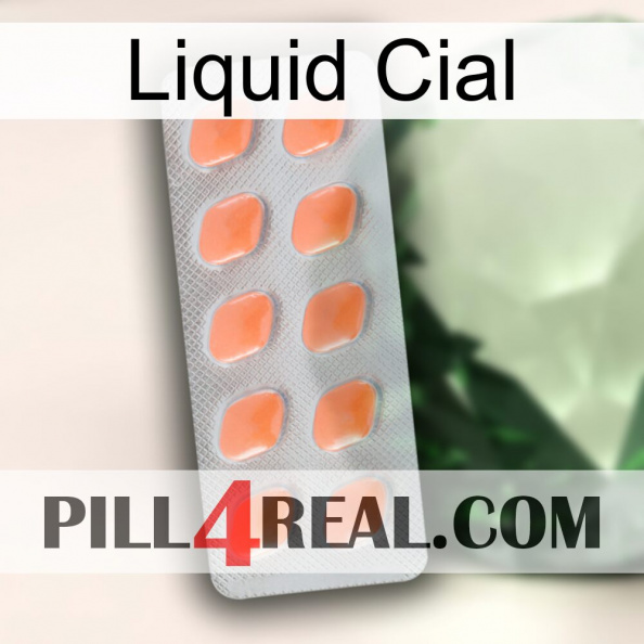 Liquid Cial 26.jpg